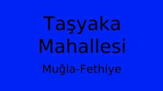 Muğla Fethiye Tasyaka Mahallesi terapi halı yıkama