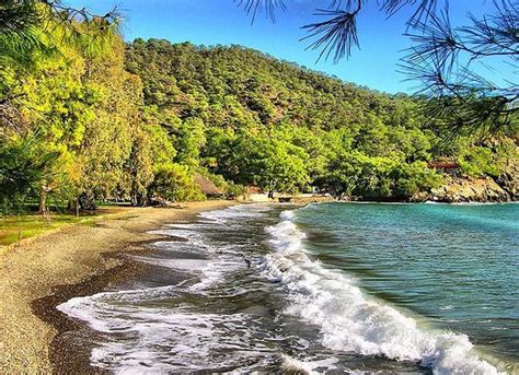 Muğla Fethiye Yaniklar Mahallesi terapi halı yıkama