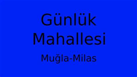Muğla Milas Gunluk Mahallesi terapi halı yıkama