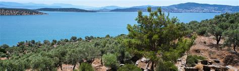 Muğla Milas Otelleri & 2024 Muğla Milas Otel Fiyatları Sayfa 2.