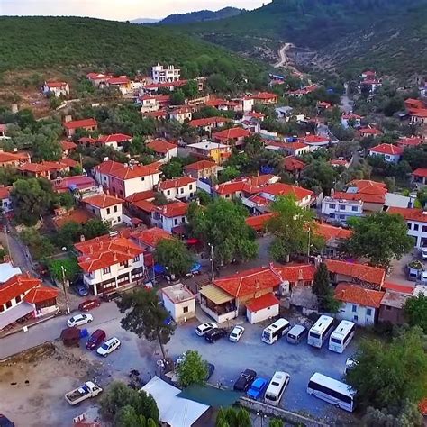 Muğla Yatagan Bozuyuk Mahallesi terapi halı yıkama