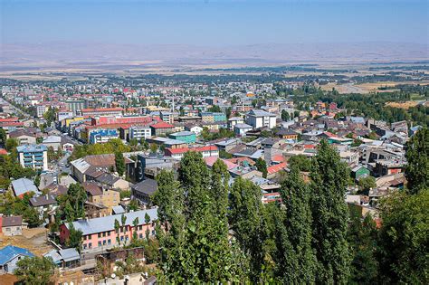 Muş terapi halı yıkama