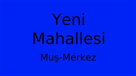 Muş Merkez Yeni Mahallesi terapi halı yıkama