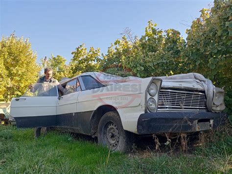 Muammer Halı ve Koltuk Yıkama