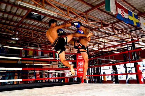 Muay thai gyms. Traditional Muay Thai gyms throughout Australia, offering high-intensity workouts based on the basic to advanced techniques used in the art of eight limbs. Pursuit … 