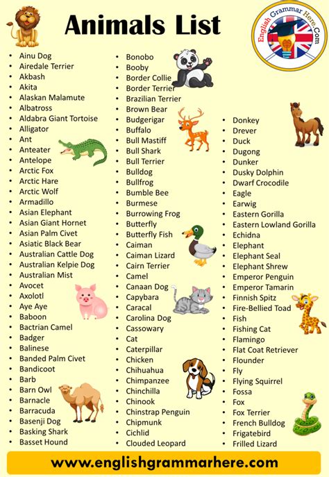 Muchas palabras sobre animales/100 words about animals. - Study guide for cadc exam for kentucky.