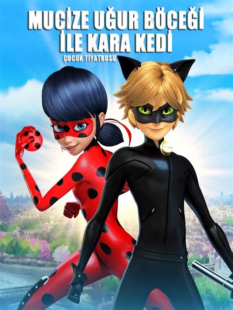 Mucize Uğur Böceği Ile Kara Kedi Mayura. 