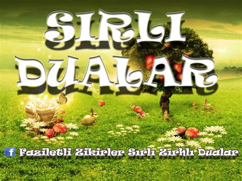 codini.rgarabwor.edu.pl. 