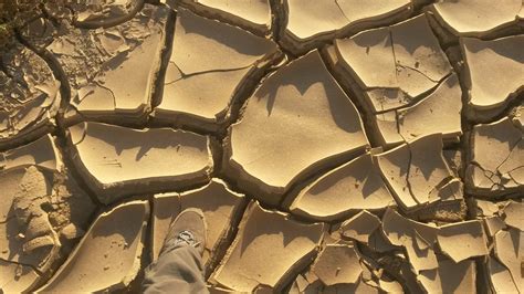 Mudcracks form in very fine clay material that has dried out. As the moisture is removed, the surface will split into cracks that extend a short way down into the mud. These cracks form ….
