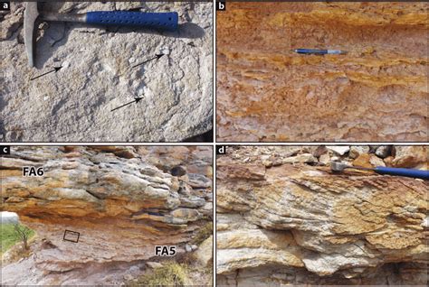 Henares et al., (2016) show that the occurrence of variable amounts of mud-clasts within fluvial sandstones of the Triassic Bigoudine Formation, in the Argana Basin, favours early reduction of the .... 