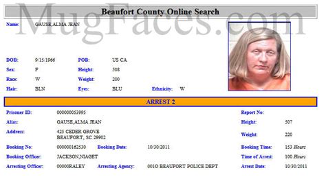 Mugshot.com, known as best search engine for Arrest Records, True crime stories and Criminal Records, Official Records and booking photographs. in South Carolina Beaufort County. 