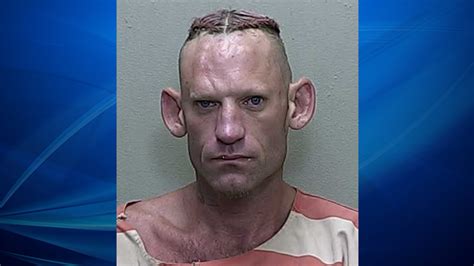 Mugshots florida. .  ...