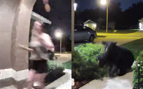 Mujer de 64 años golpea a oso que perseguía a su perro; termina mordiéndola