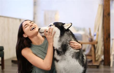 Mujer hace el amor con perro. Things To Know About Mujer hace el amor con perro. 