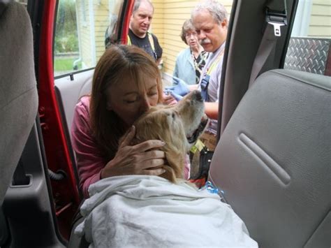 Mujer se reúne con su cachorro robado después de un intento de rescate