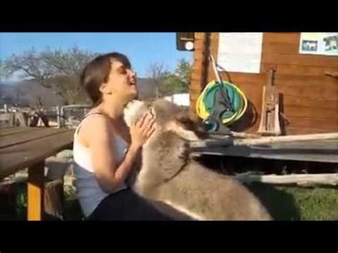 Mujeres cojiendo con un burro. Things To Know About Mujeres cojiendo con un burro. 