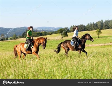 Mujeres.follando.con.caballo - 