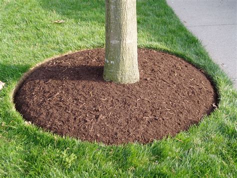 Mulch/Topsoil