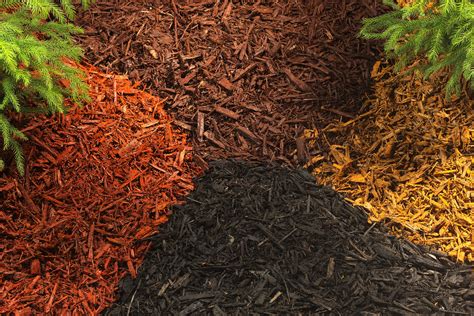 Mulch Types - 815MulchIt