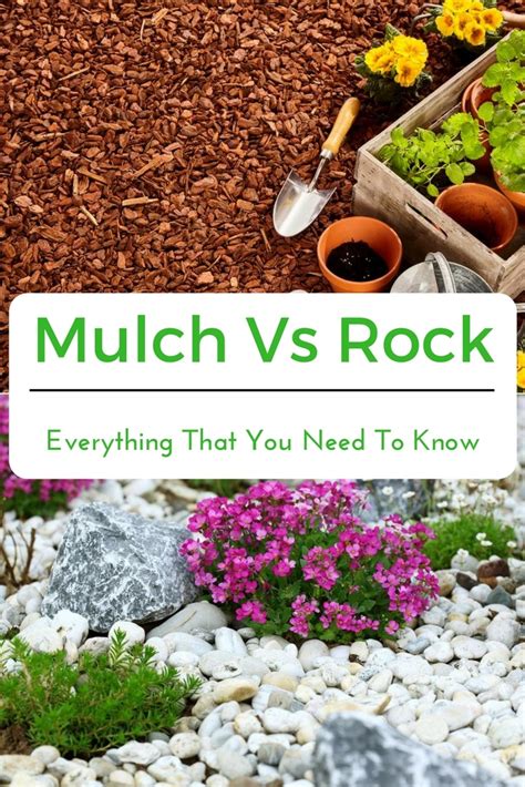Mulch vs rock. Jan 15, 2021 · The Cons of Rock Mulch: Rock doesn’t add any nutrients to your soil, because it doesn’t break down over time. If you change your mind later, and want to add more plants and turn the space into a real garden bed, it’s kind of a pain to remove all the rock. The Cost of Rock Mulch: Basic, non-decorative rock runs $12 to $15 per yard before ... 