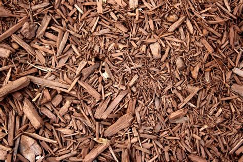 Mulch wood chips. Shredded bark is the best mulch for slopes, breaking down relatively slowly. As a bonus, some shredded ark mulches are byproducts of other industries and are considered environmentally friendly. Check the mulch packaging for more information. Shredded bark can take up some nitrogen from the soil as it decomposes. 