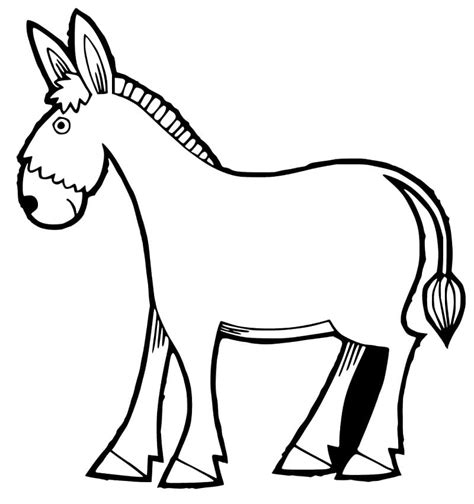 Mule Coloring