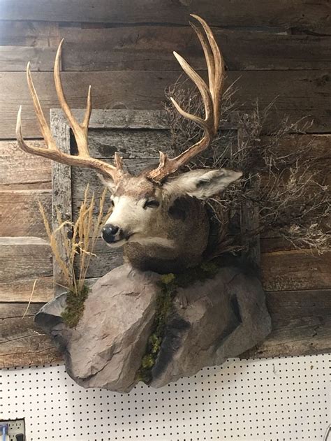 Travis Smola. This is one of the simplest ways to display one of your deer. Many hunters like this option because you can put together one of these mounts yourself. The one pictured above is a simple one I put together years ago with a mounting kit you can get at any Walmart. 0 seconds of 1 minute, 10 secondsVolume 0%.. 