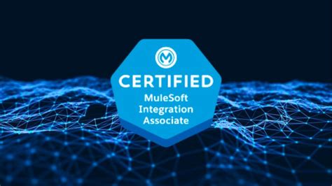 MuleSoft-Integration-Associate Ausbildungsressourcen