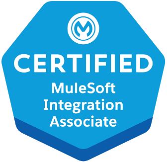MuleSoft-Integration-Associate Buch