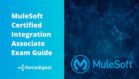 MuleSoft-Integration-Associate Exam