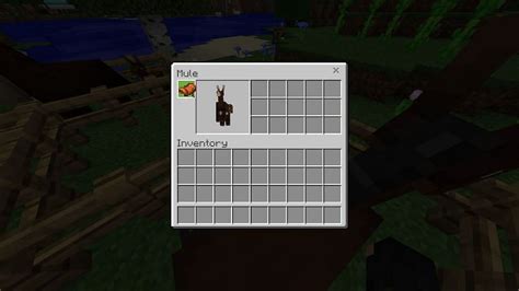 Mules in Minecraft Spawning Behavior Drops