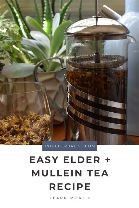 Mullein And Elderberry Extract - herbalteatherapy