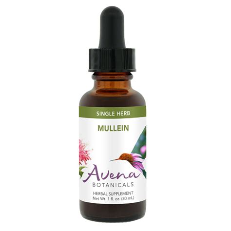 Mullein Tincture - Avena Botanicals