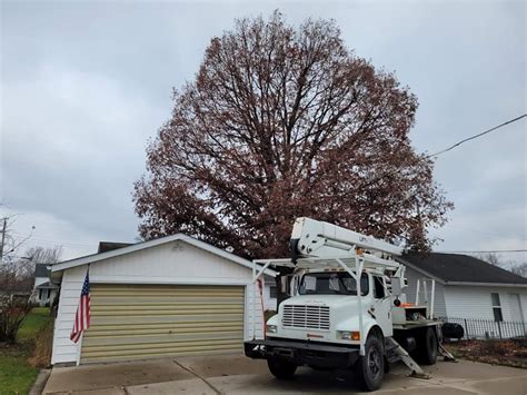 Mullins Tree Removal - Facebook