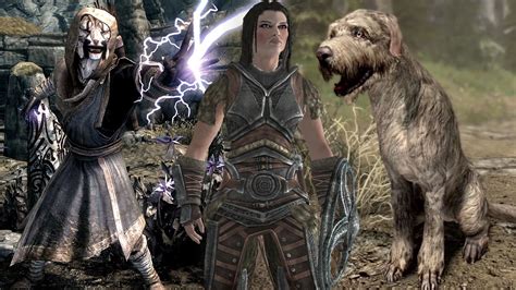 The only other second companion I know of is having a dog. Other "permanent" followers would be Thralls. Zombie, Frost etc using conjuration. Trick people like to use is using Thrall on a conjurer so they would conjure another and have multiple followers with you (albeit zombified).. 