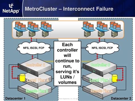 Multi-disk/plex failure in a Fabric MetroCluster