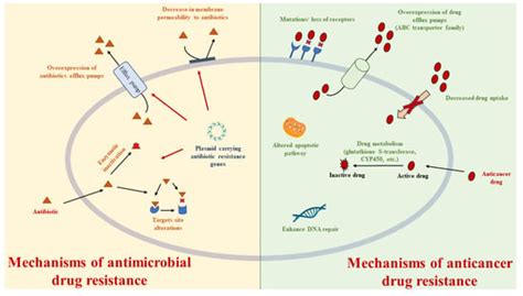 Multidrug Resistance (MDR): A Widespread Phenomenon in