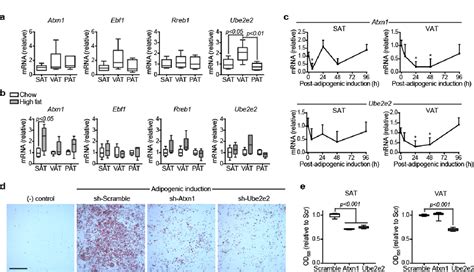 Multiethnic genome-wide meta-analysis of ectopic fat depots …