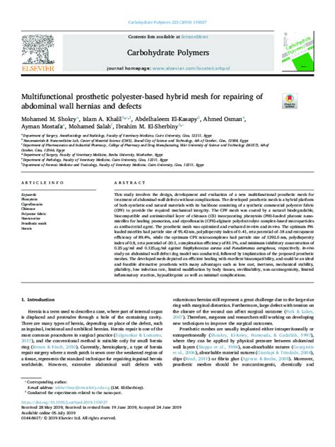 Multifunctional prosthetic polyester-based hybrid mesh for