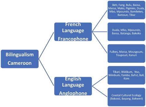 Multilingualism in Cameroon An Expression of Many Countries in One