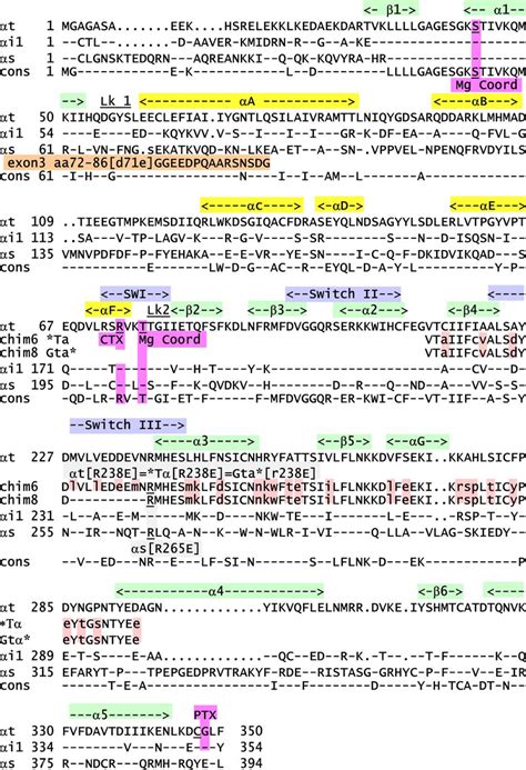 Multiple Amino Acid Sequence Alignment Comparing Bovine Transducin T Download Scientific Diagram