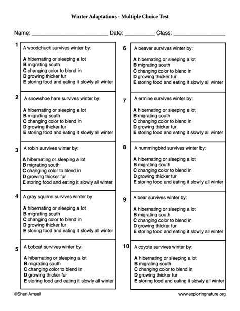 Multiple Choice Test Template Database