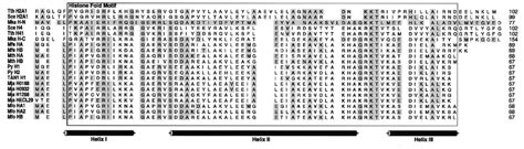 Multiple sequence alignment of prokaryotic histone and …