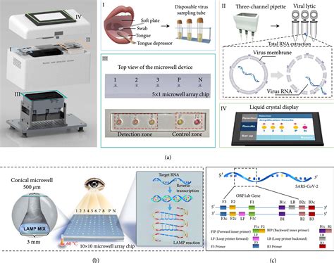 Multiplexed Cell-Based Diagnostic Devices for Detection of