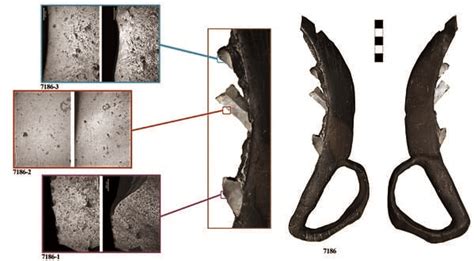 Multiproxy study of 7500-year-old wooden sickles from the …