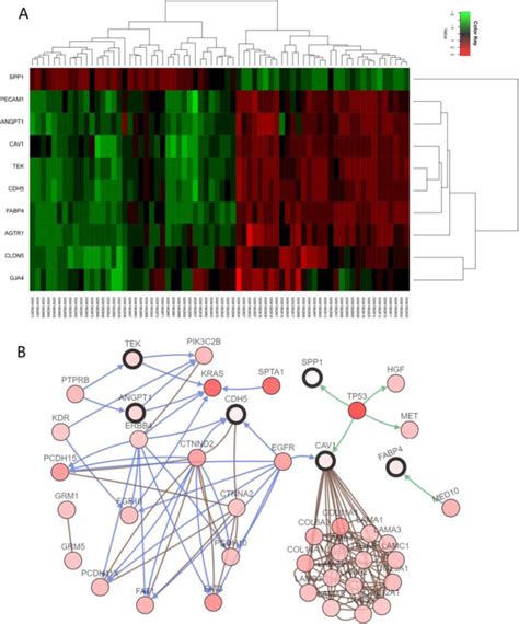 Multiscale Clustering for Functional Data SpringerLink