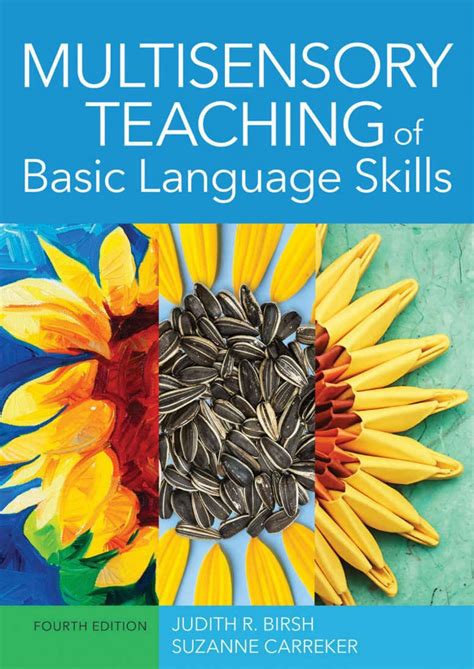 Download Multisensory Teaching Of Basic Language Skills By Judith R Birsh