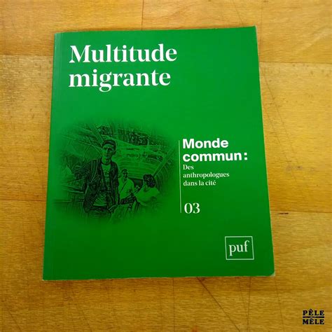 Multitude Migrante
