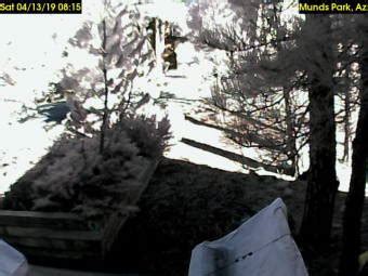 Webcams. Plan your adventure in Flagstaff with live showings of the attractionsand areas that you don't want to miss. Whether you're looking for the current forecastin Flagstaff or making a virtual trip to our mountain town at home, these webcams feature breathtaking views and panoramic features. Residents and visitors of Flagstaff will enjoy .... 