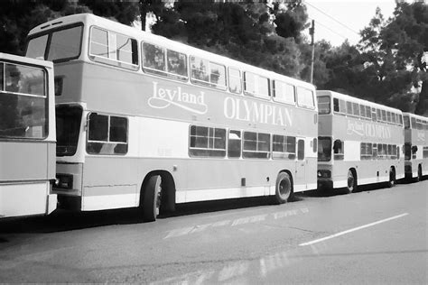 Municipal bus company - Wikipedia